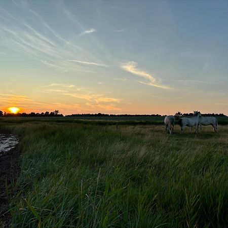 Nedlagt Gard I Naturen Med Ro Og Fred Og Samtidig Taet Pa Strand Og Fiskeri Og Indkobsmuligheder Nordborg Exteriér fotografie