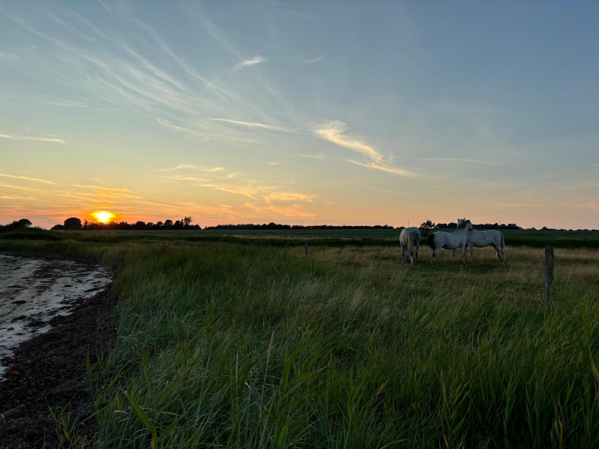 Nedlagt Gard I Naturen Med Ro Og Fred Og Samtidig Taet Pa Strand Og Fiskeri Og Indkobsmuligheder Nordborg Exteriér fotografie